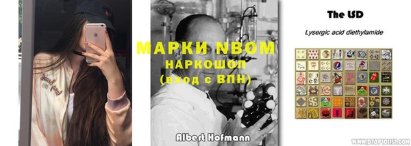 хмурый Алексин