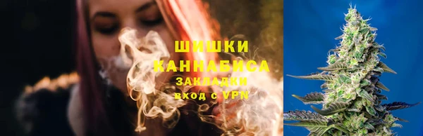 ПСИЛОЦИБИНОВЫЕ ГРИБЫ Алзамай