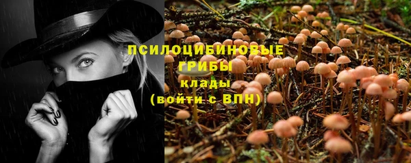 хмурый Алексин
